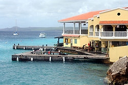 Buddy's reef